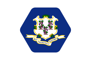 Connecticut Flag Vector Illustration flag