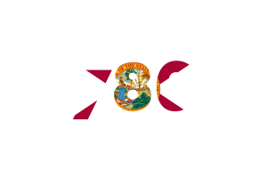 Florida Area Codes flag