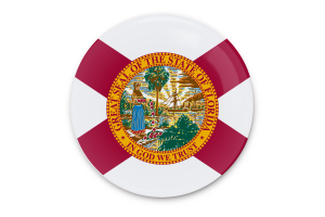 Florida Flag Vector Art flag