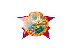 Florida Flag Star Icon flag