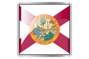 Florida Flag Square icon flag
