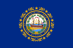 Flagge von New Hampshire flag