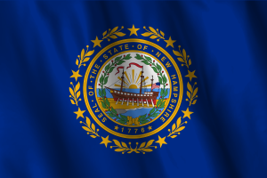Nationale Flagge von New Hampshire flag