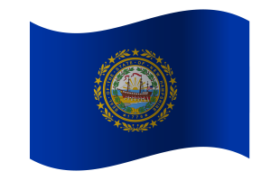 New Hampshire-Flagge flag