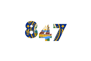 New Hampshire Vorwahl flag