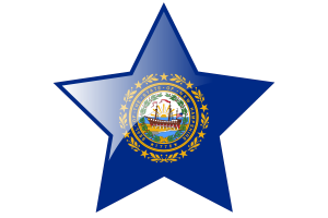 Stern-Icon der New Hampshire-Flagge flag