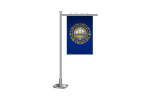 3D New Hampshire stehende Flagge flag