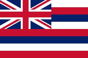 Flag of Hawaii flag