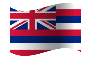 Hawaii Flag flag