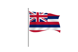 Hawaii Flag symbol flag