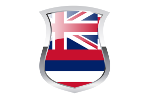 Hawaii Pride Flag flag