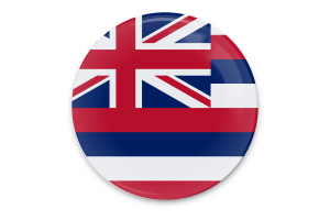 Hawaii Flag Vector Art flag