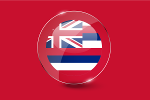 Hawaii Flag Glossy Round Button flag