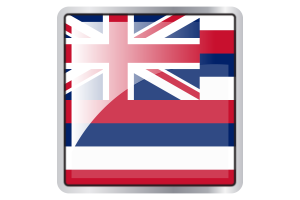 Hawaii Flag Square icon flag