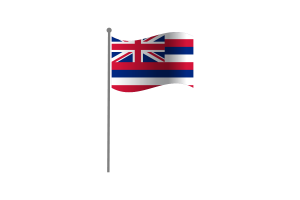 Waving Flag of Hawaii flag