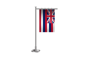3d Hawaii Standing Flag flag