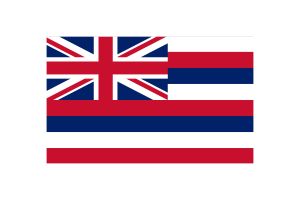 Hawaii Flag Triangle Vector Illustration flag