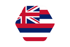 Hawaii Flag Vector Illustration flag