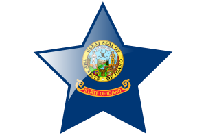 Idaho Flag Star Icon flag