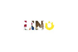 Arte de Texto de Illinois flag