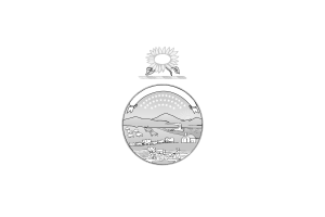 Kansas Flag symbol flag