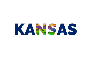 Kansas Text Art flag