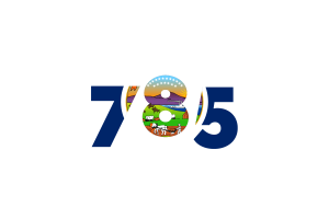 Kansas Area Codes flag