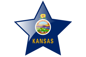 Kansas Flag Star Icon flag