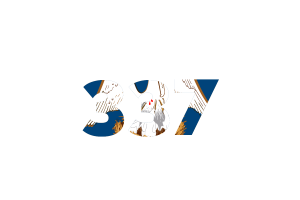 Louisiana Area Codes flag