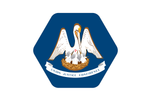 Louisiana Flag Vector Illustration flag