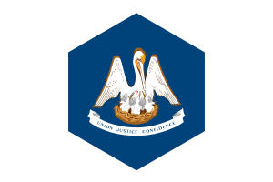 Louisiana Flag Hexagon Shape flag