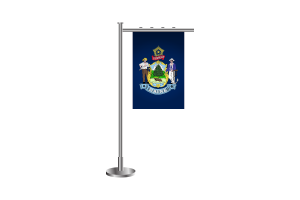 3d Maine Standing Flag flag