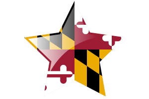 Maryland Flag Star Icon flag