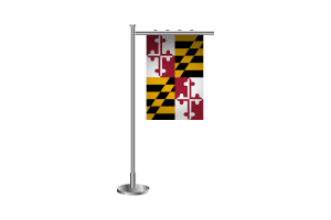 3d Maryland Standing Flag flag