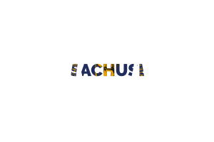 Massachusetts Text Art flag