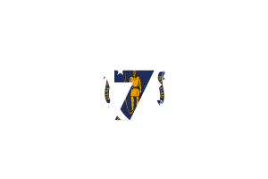 Massachusetts Area Codes flag