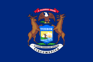 Flagge von Michigan flag
