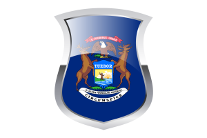 Michigan Stolz Flagge flag