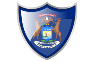 Schild mit Flagge von Michigan flag