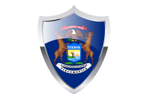 Michigan Flagge mit mittelalterlichem Heizschild flag