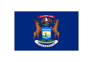 Michigan Flagge Dreieck Vektor Illustration flag