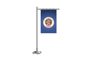 3d Minnesota Standing Flag flag
