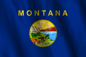 Bandiera nazionale del Montana flag