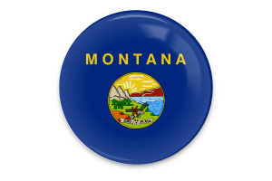 Arte vettoriale della bandiera del Montana flag