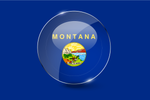 Pulsante rotondo lucido della bandiera del Montana flag
