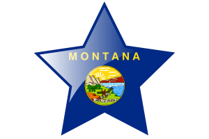 Icona stella della bandiera del Montana flag