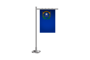 3d Nevada Standing Flag flag