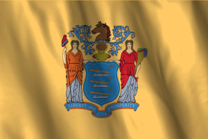 National Flag of New Jersey flag