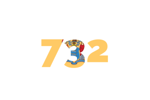 New Jersey Area Codes flag