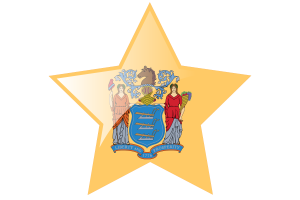 New Jersey Flag Star Icon flag